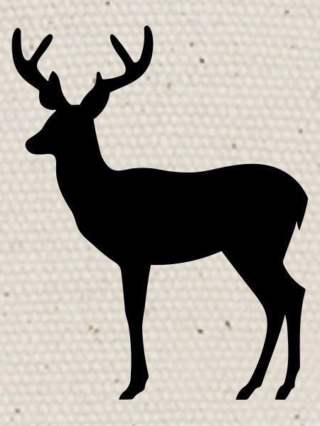 Cerf