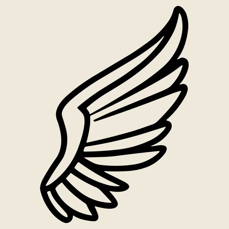 Ailes d'ange