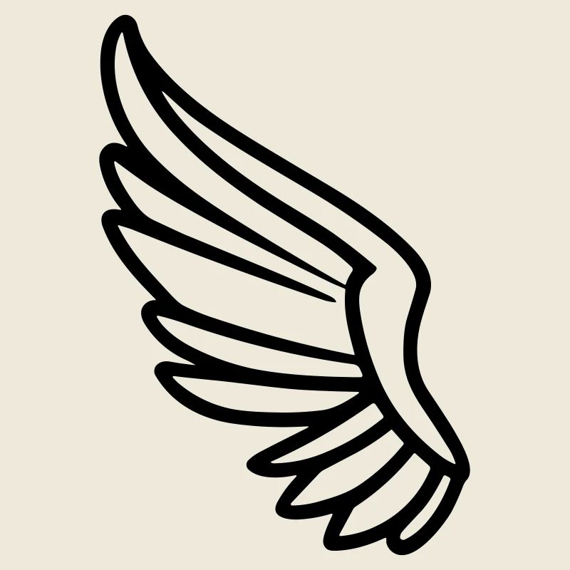 Ailes d'ange