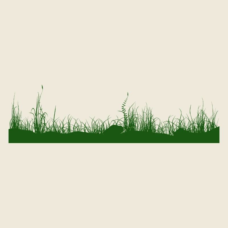 Herbe, sol, prairie, prairie herbeuse
