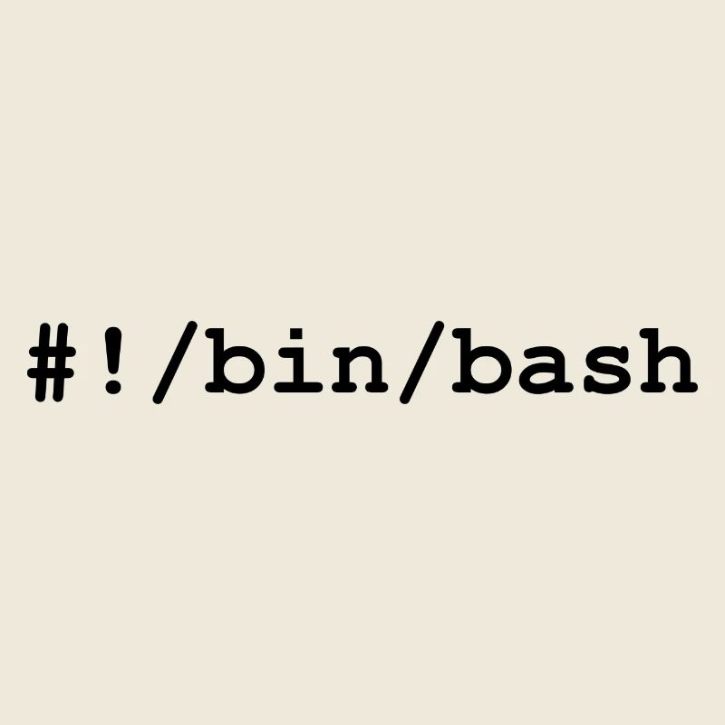 Shell bash / bourne-again sous Linux et Unix