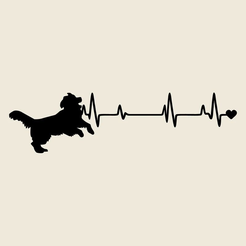 Chien