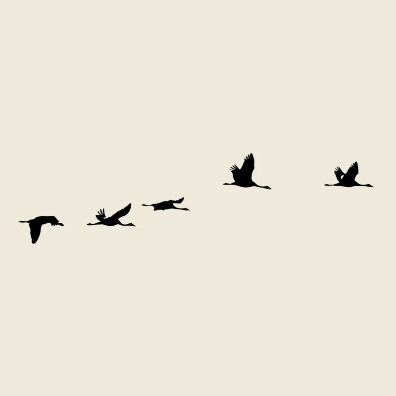 Migratory Birds Crane Bird