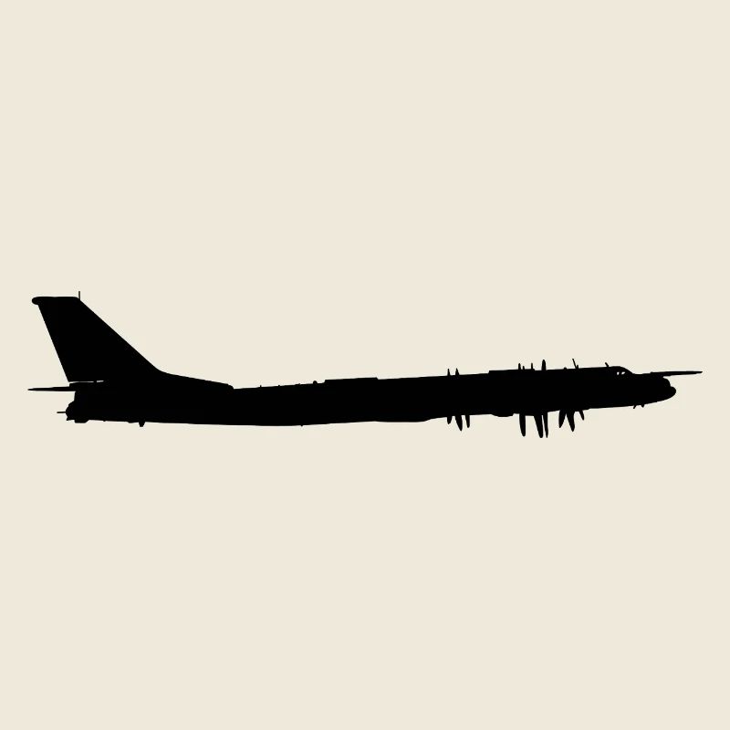 Le Tu-95
