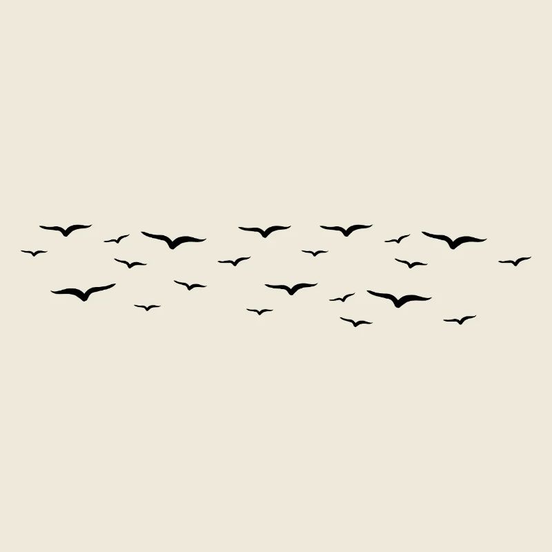 oiseaux