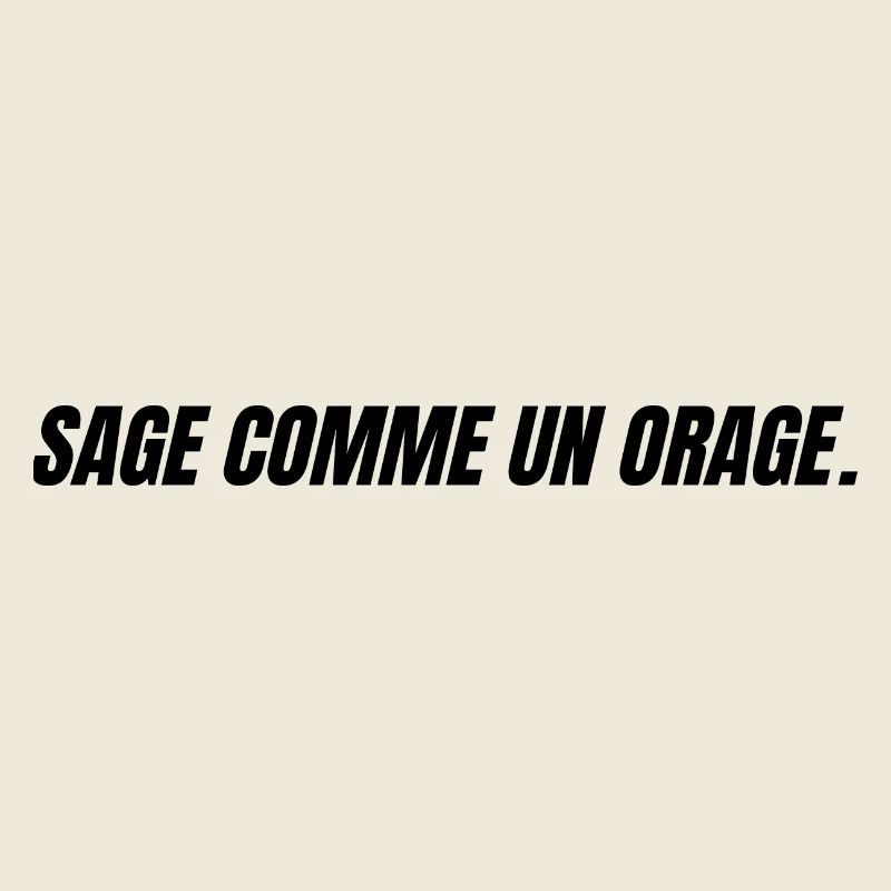 sage comme un orage