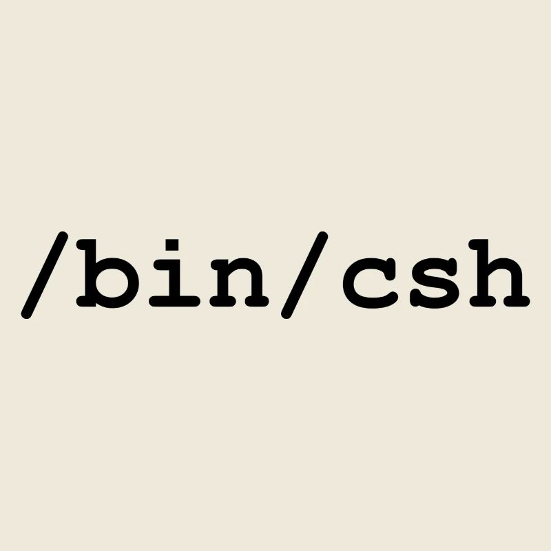 Interpréteur C - /bin/csh