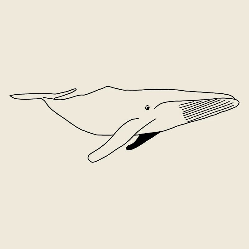 Baleine - noir blanc graphique