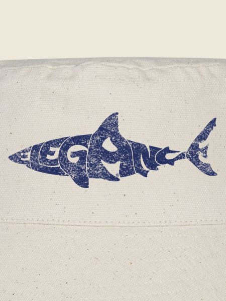 Requin élégant