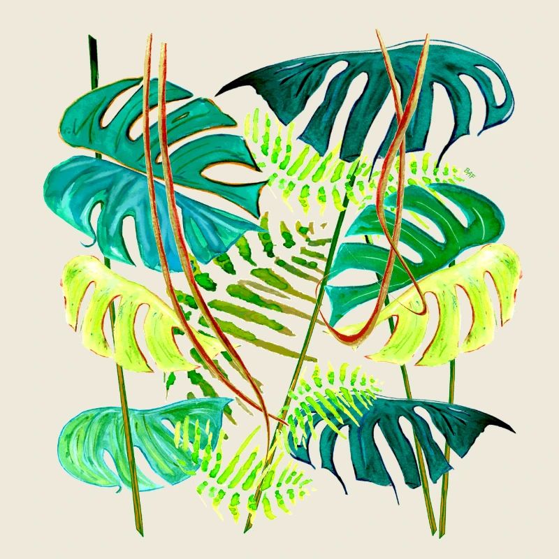 Monstera Rainforest