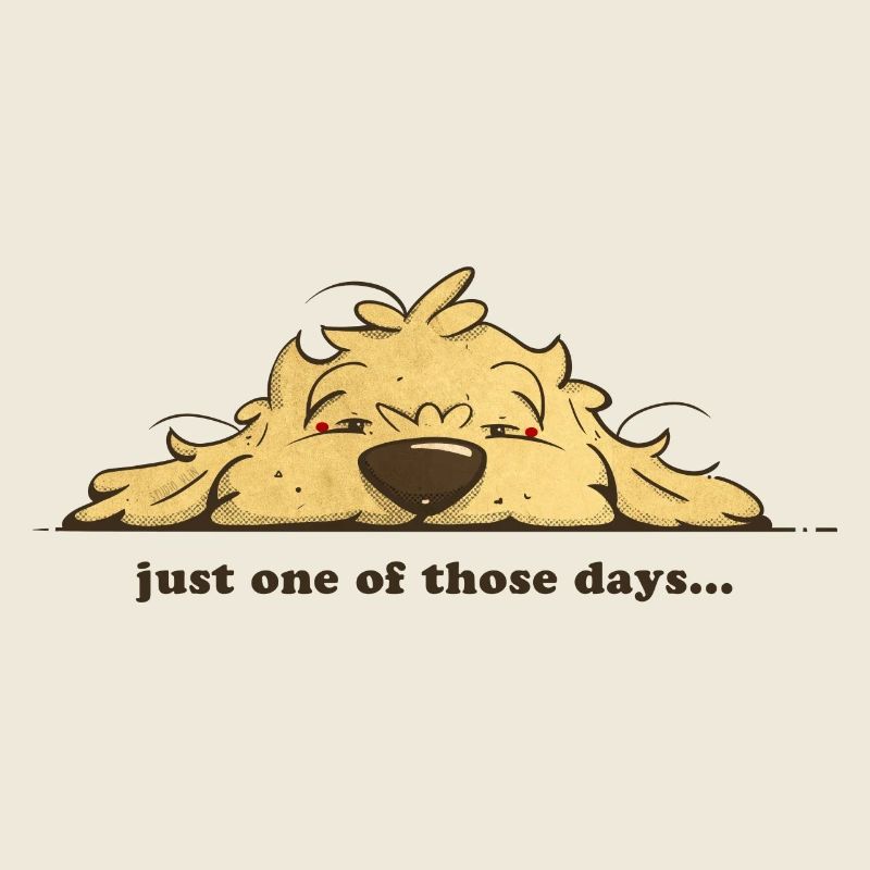 Juste un de ces jours cockapoo thor