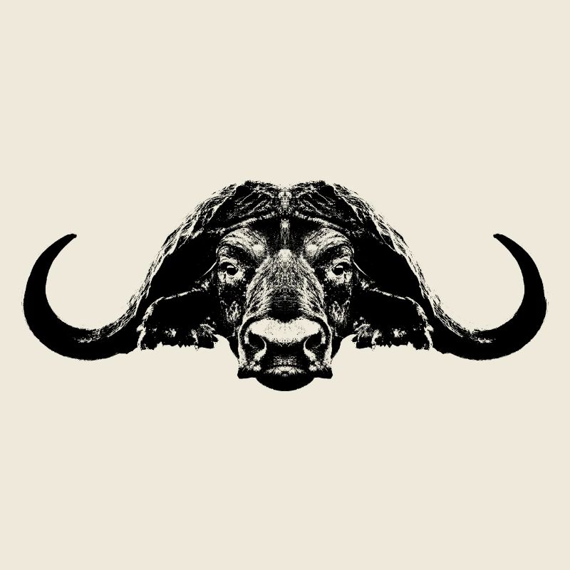 Büffel / Kaffernbüffel / Bull