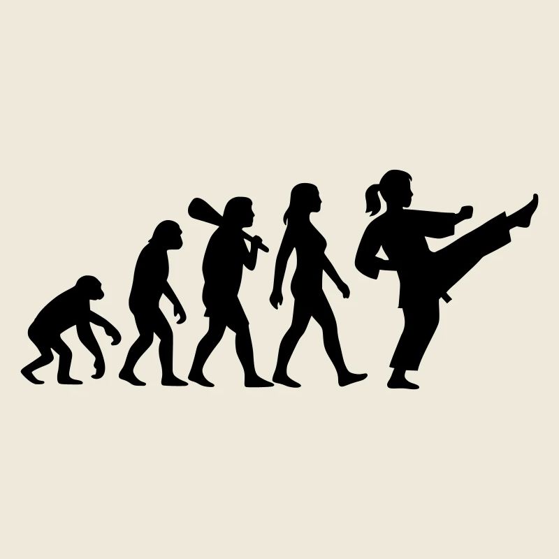 Karate Evolution