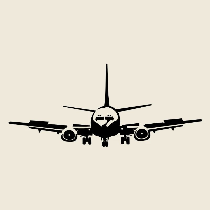 _737_1