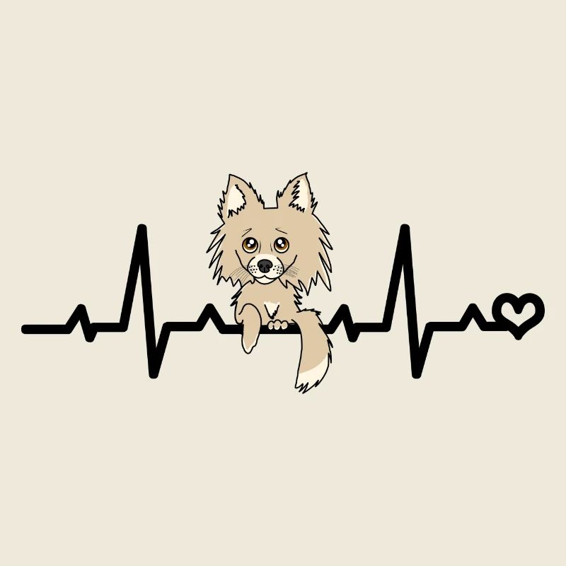 Chihuahua Herzfrequenz - beiger langhaar Chi Hund