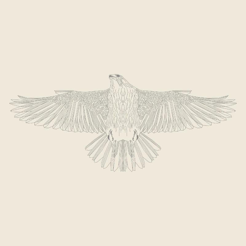Digital Falcon – Art lineline moderne en gris
