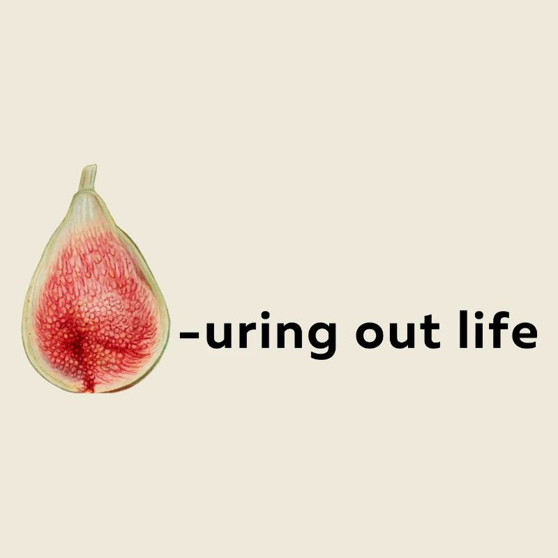 Fig-uring out life