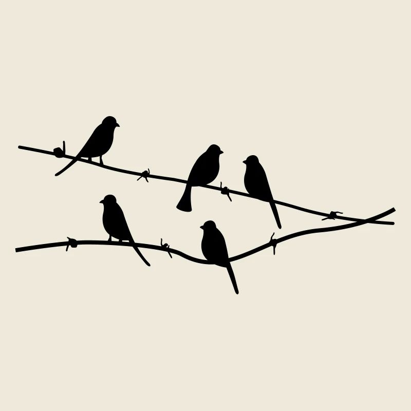 birds Vögel