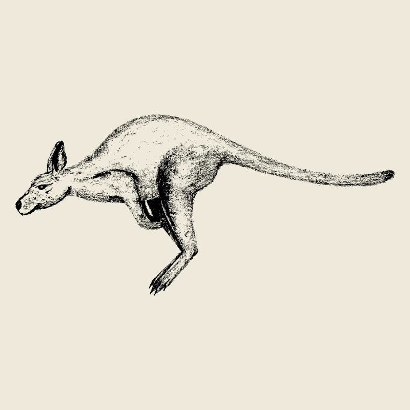 Kangourou