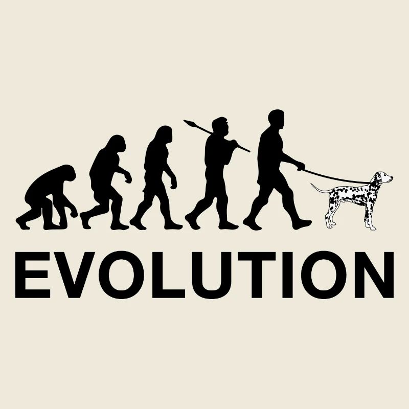 évolution