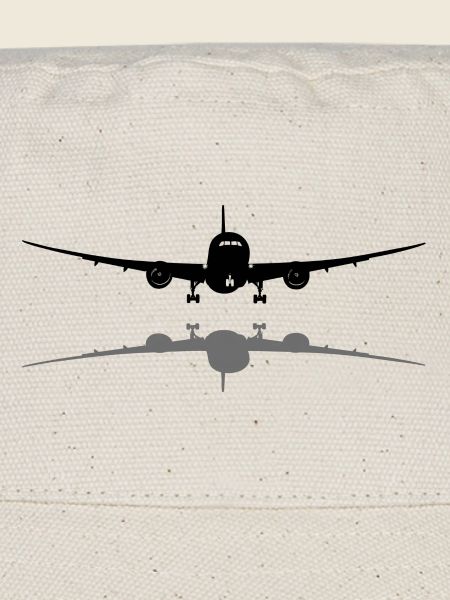 Passagierflugzeug