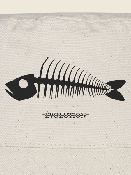évolution