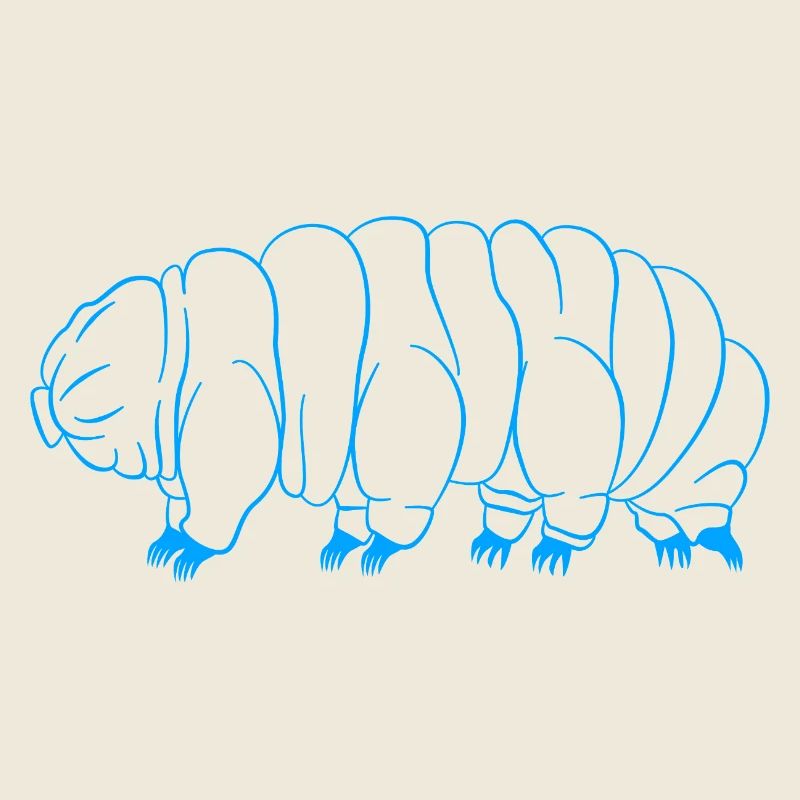 Tardigrade Tardigrade Water Bear Tardigrade