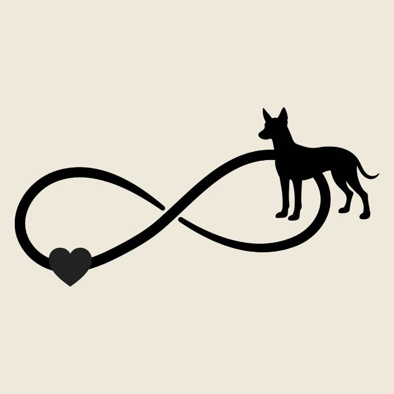 Xoloitzcuintle Infinity