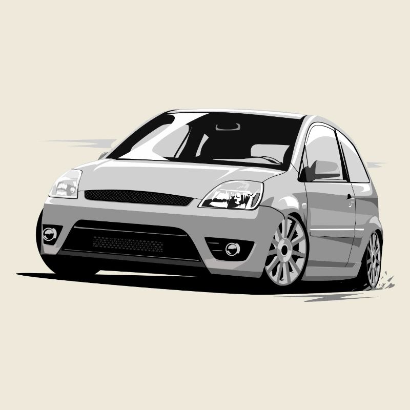 Fiesta 6 ST Low Style