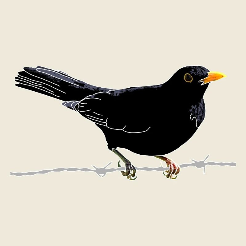 Blackbird on barbed wire