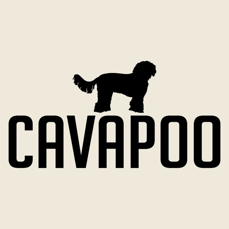 Cavapoo Hunderasse Hunde Wilsigns
