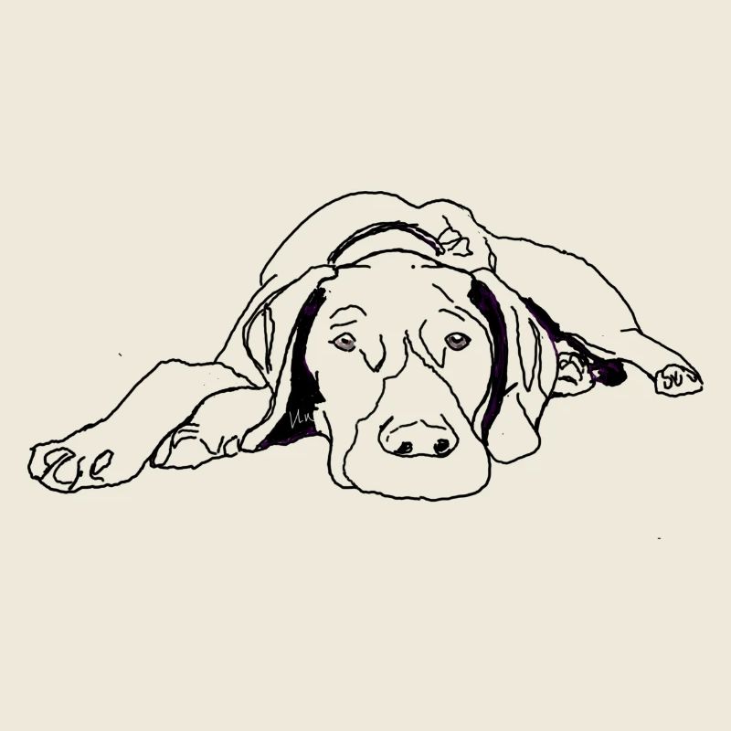 Pointer Deutsch Kurzhaar