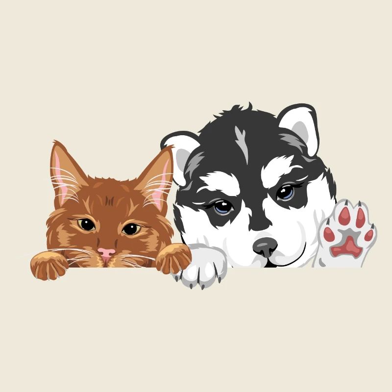 Coup d’œil drôle de chat roux et chien husky