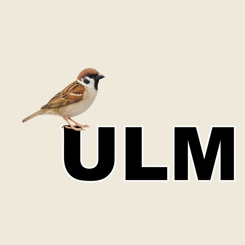 Ulmer Spatz Linsen mit Spätzla Schwäbisch