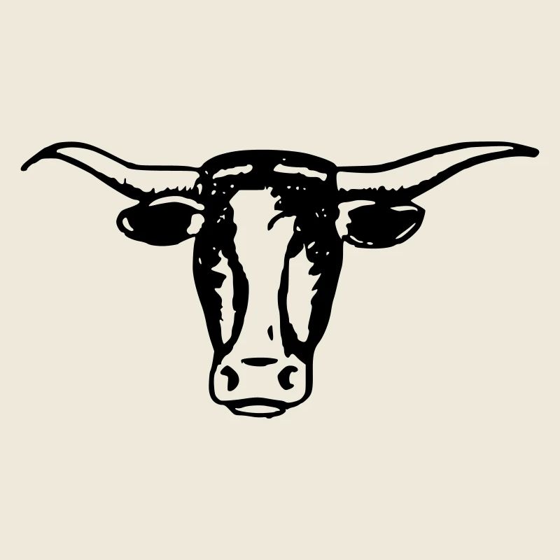 Tête de bœuf Longhorn