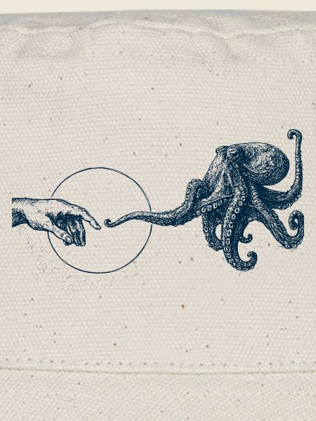 Oktopus - Kontakt