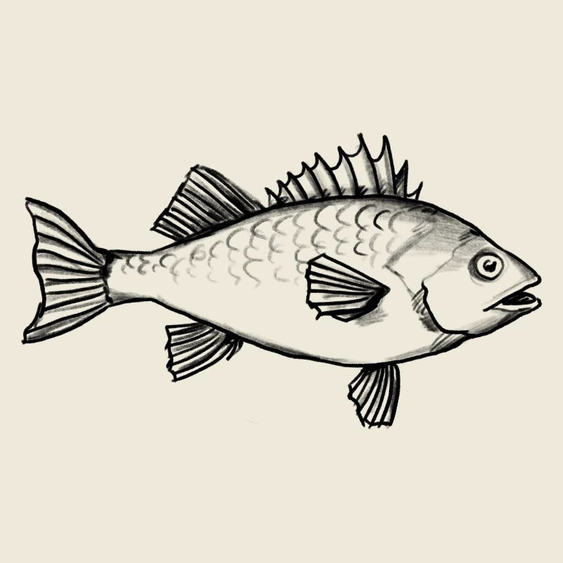 Poisson pêcheur poisson rouge - Illustration