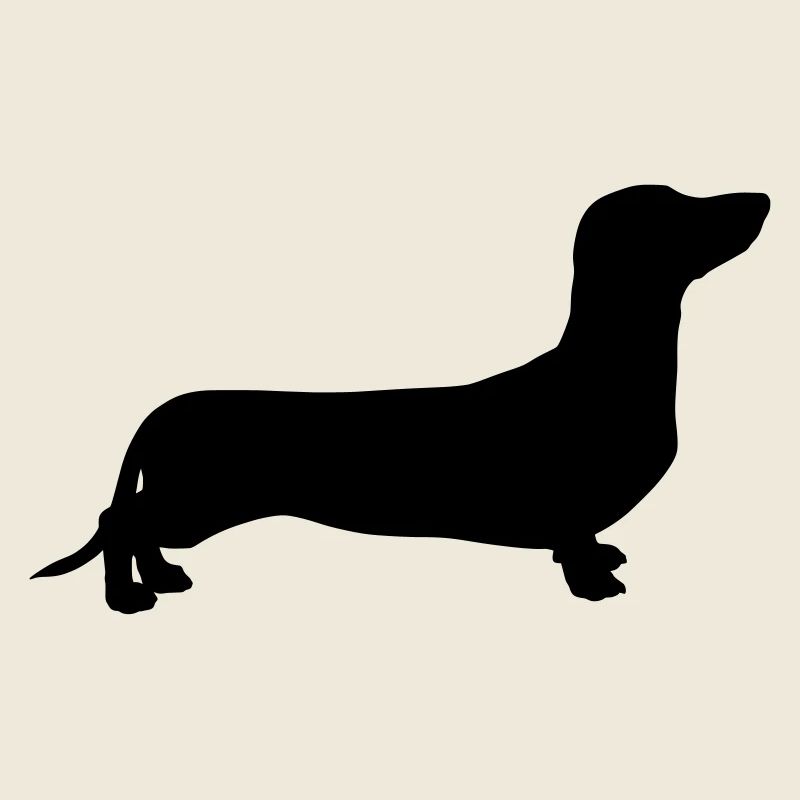 Dachshund