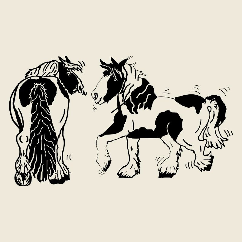 Cute Tinker Horses Equestrian