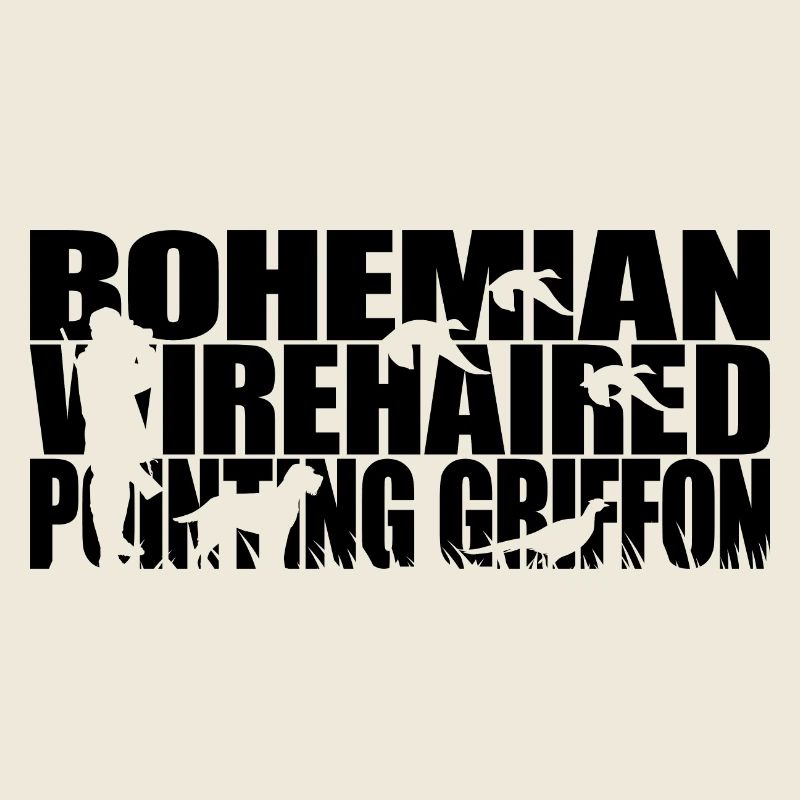 GRIFFON POINTU À POIL DUR DE BOHÊME Chasser les saules