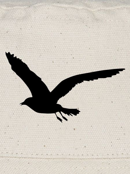 mouette