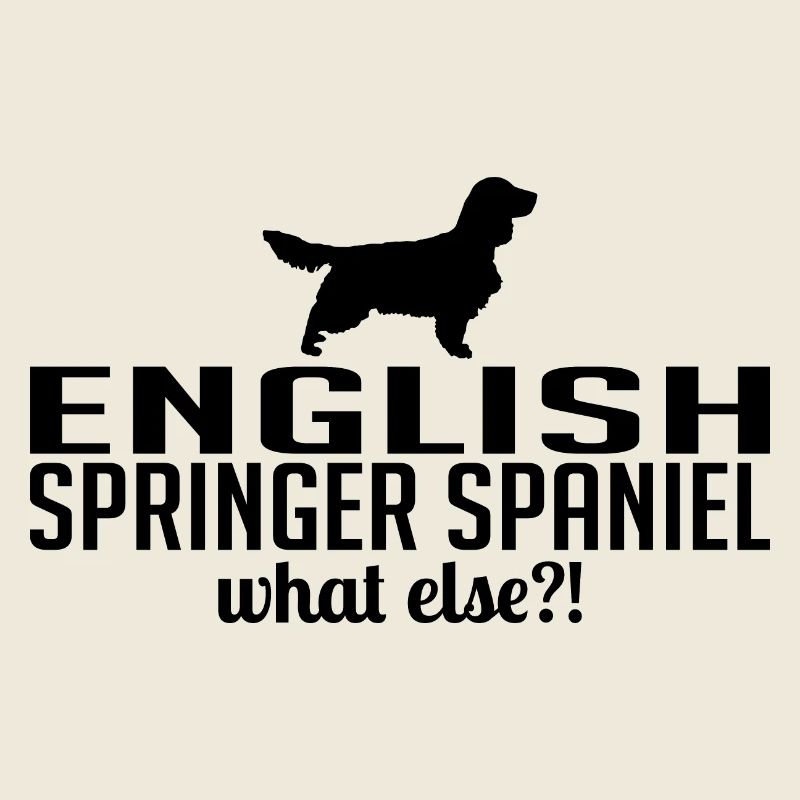English Springer Spaniel quoi d’autre Chiens Wilsigns