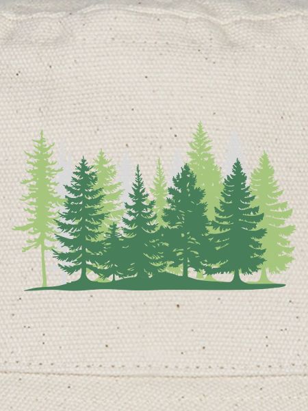 Forêt arbre verts