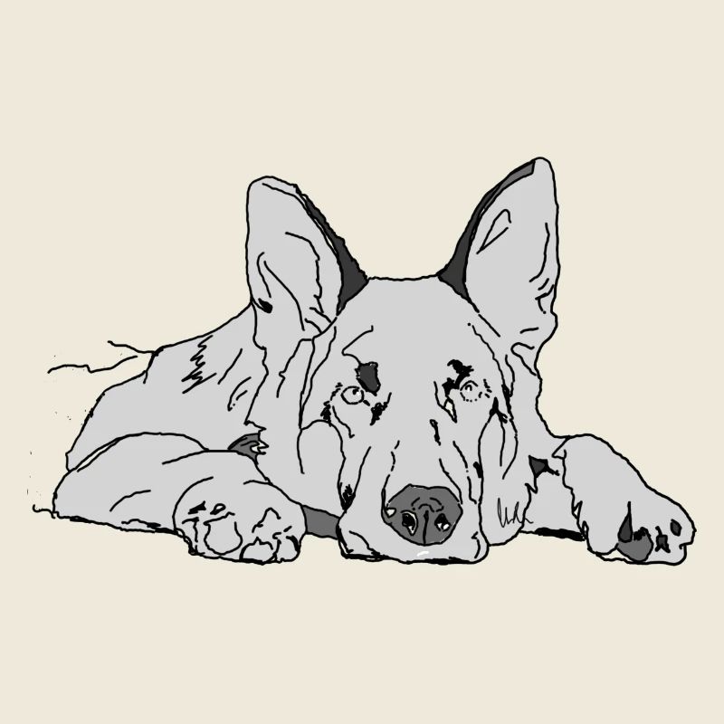 Chien de berger