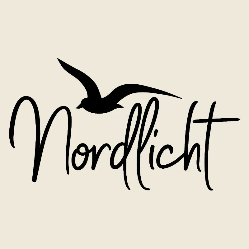 Nordlicht mit Möwe