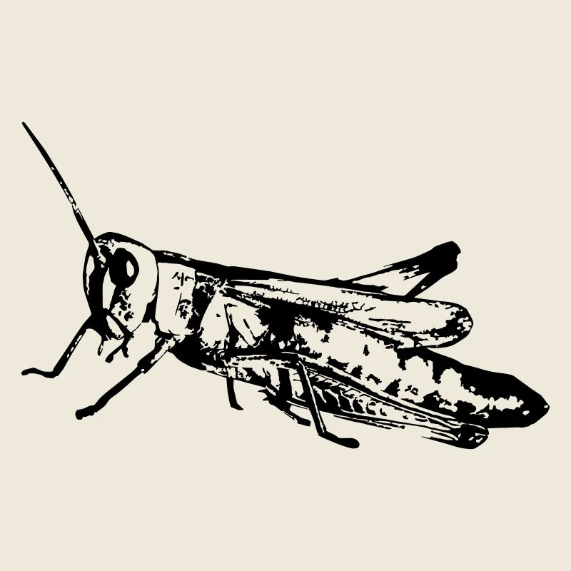 Grasshopper / Grashüpfer