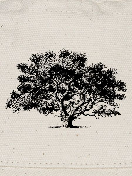 Summer tree