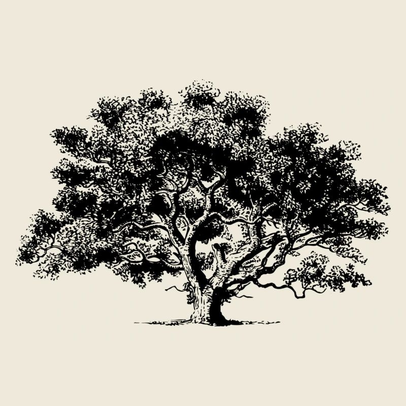 Sommerbaum