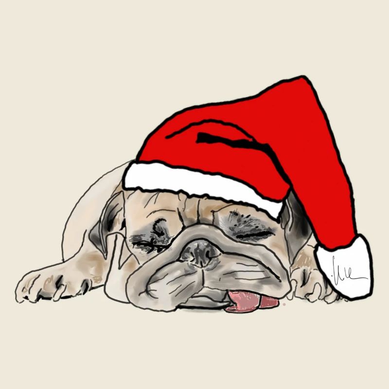 Carlin de Noël