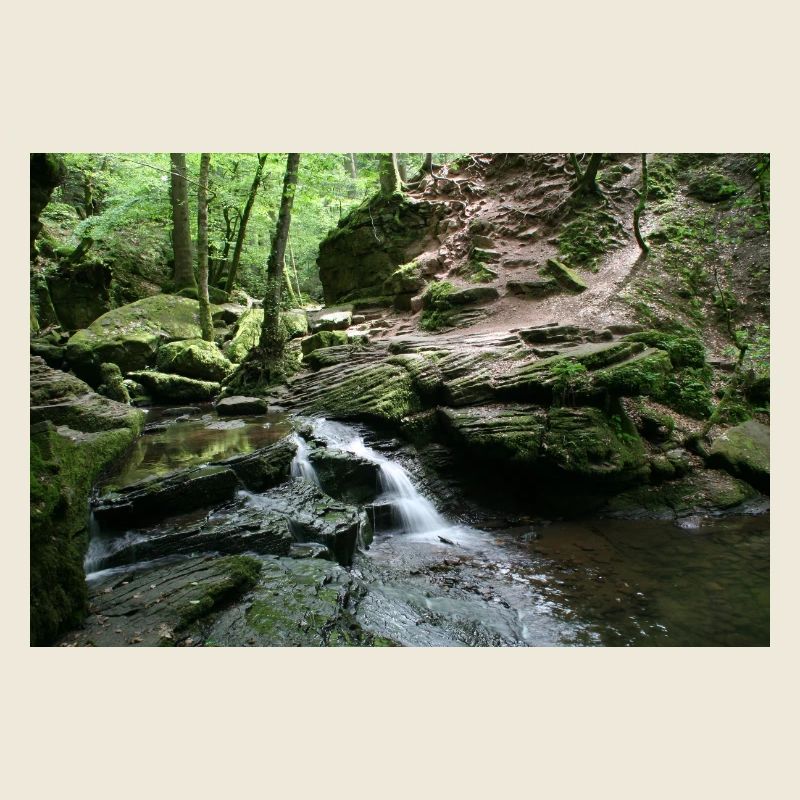 MONBACH DANS LE NORD DE LA FORÊT-NOIRE